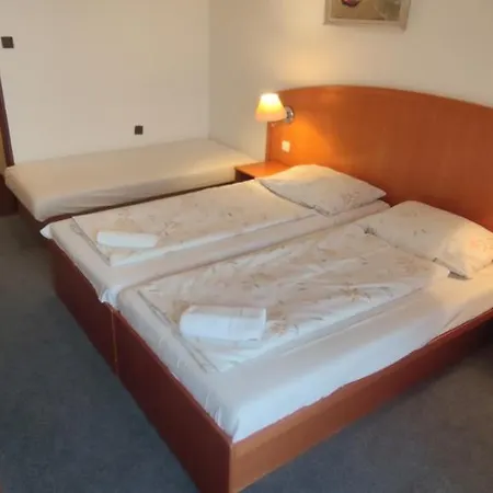 Guest house Diana Zelezna Ruda