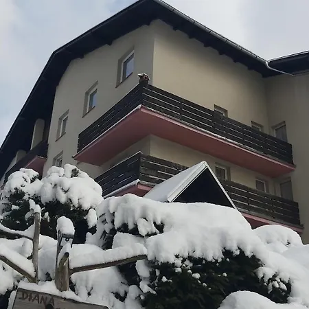 Diana 3* Železná Ruda