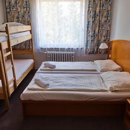 Diana Guest house Zelezna Ruda