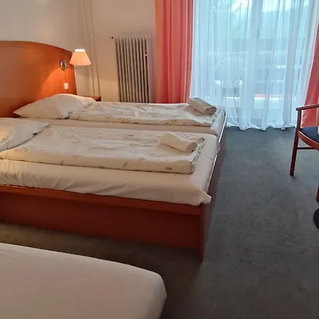 Diana 3* Železná Ruda